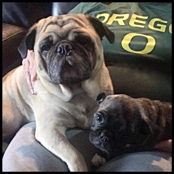 Meet your Posher, Melina - Picture 8 of 12